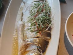 -绿杨春甄选(兴隆大街店)