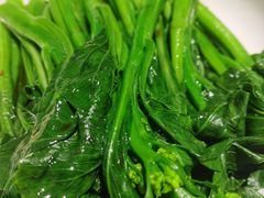 头抽菜心-九毛九西北菜(百信广场店)
