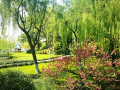-柳浪闻莺公园