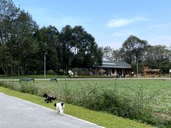 -中国天府农业博览园