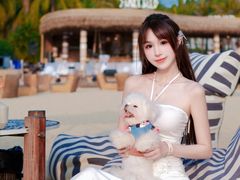 -欢乐海岸椰林沙滩-2025湾区超级灯会