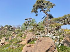 -罗红摄影艺术馆