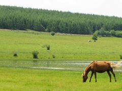 -塞罕坝国家级自然保护区