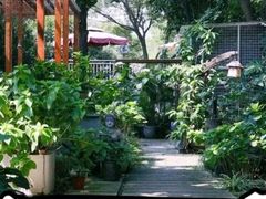 -谷咖啡·鲜花绿植花园餐厅