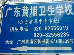 -姚林轩