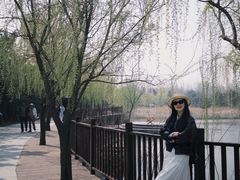 -日照海滨国家森林公园
