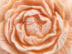 -潮一不贰·法式甜品·生日蛋糕·西式简餐(外滩店)