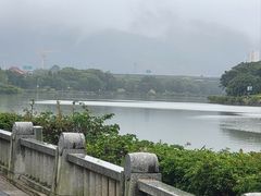 -光明港公园