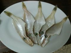 -肥婆麻辣火锅.顺德首创药材麻辣火锅(容桂店)