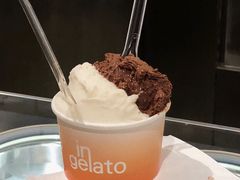 -DIP in GELATO(富民路店)