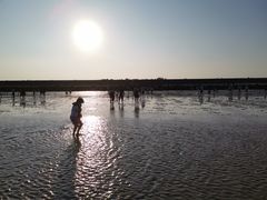 -南汇嘴观海公园