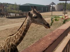 -鄂尔多斯野生动物园