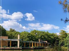 -青枫公园