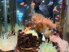 -太平洋海底世界