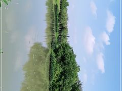 -艾溪湖湿地公园