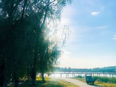-蒲河岛湿地公园