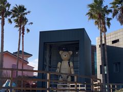 -济州岛泰迪熊博物馆