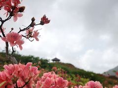 -大围山国家森林公园