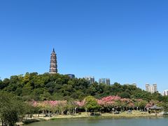 -顺峰山公园
