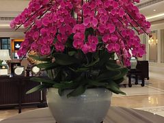 -福建鲤鱼洲酒店