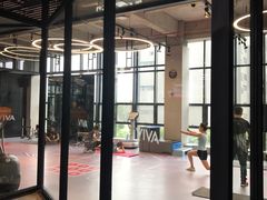 -GYMCARE VIVA(金开店)