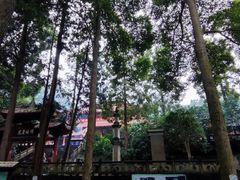 -都江堰普照寺