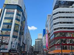 -秋叶原电器街