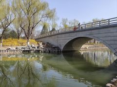 -大兴滨河森林公园