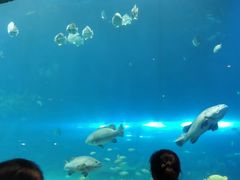 -华夏文旅西安度假区