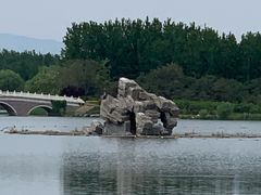 -大兴滨河森林公园