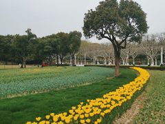 -大宁公园