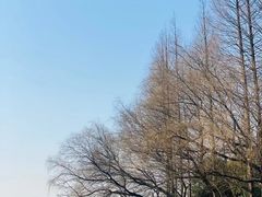 -柯岩风景区