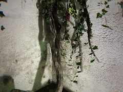-青岛葡萄酒博物馆