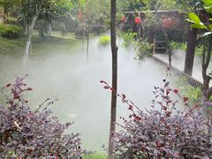 -东莞观音山旅游风景区