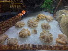 火锅煮菜-喜庭海鲜自助(来福士店)