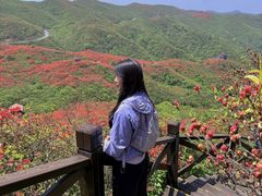 -大围山国家森林公园