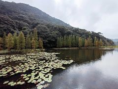 -广州市石门国家森林公园