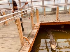 -石家庄市动物园