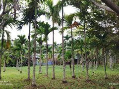 -红色娘子军纪念园