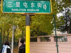 -三里屯东五街银杏大道