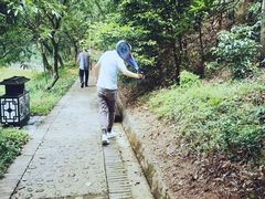 -大雁山风景区