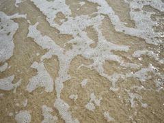 -玫瑰海岸文化旅游度假区