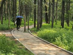 -长春市南湖公园