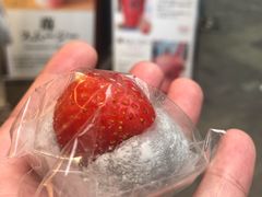 -浅草莓座(あさくさいちござ)