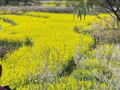 -樱桃山旅游景区