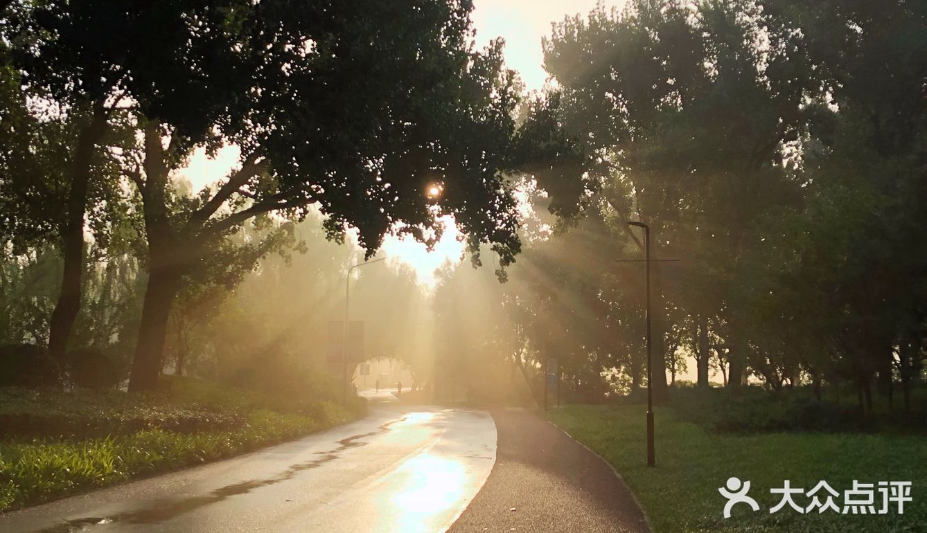 阳光总在风雨后雨后清晨的湖畔小路上