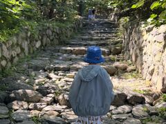 -阳台山自然风景区