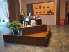 -端艾堂·SPA·艾灸(棕榈泉013店)