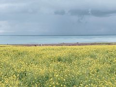-青海湖国家重点风景名胜区