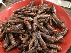 android_upload_pic-柿子树炭烤羊腿(金台路店)